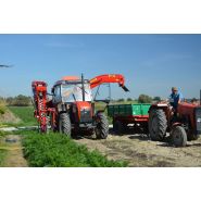 Récolteuse à carottes Alina Eco II - Weremczuk - 0,06 à 0,10 ha/h - 75 ch - légumes racines_2