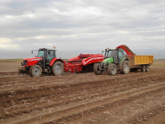 Arracheuse équipée d'un système de tamisage performant