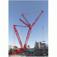 Lr 11000 grue sur chenilles_2