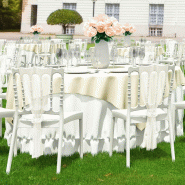 Chaise de reception Napoleon blanche - BLANC_2