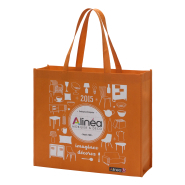 Sac cabas réutilisable - Polypropylène non tissé 110 g/m² - sans lamination - Réf : FRAALICAN2S_2