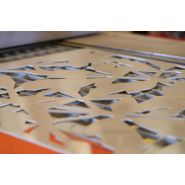 Découpe laser - laser 49_2