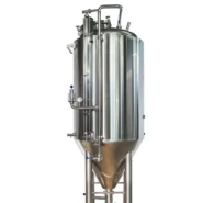 Fermenteur avec option hop doseur pour houblon -Couvercle de trou d'homme 400_2
