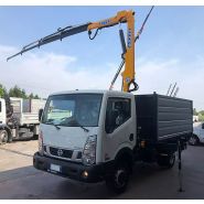 Grue auxiliaire professionnelle avec bras à profil soigné pour longue portée