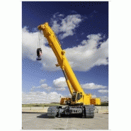 Ltr 1220 grue télescopique sur chenilles_2