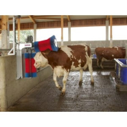 Brosse à vaches - HAPPYCOW DUO pour irrigation de la peau et stimulation du métabolisme, avec poils en polyamide et système électronique avancé_2