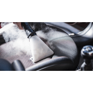 Générateur de vapeur professionnel emilio plus car_2