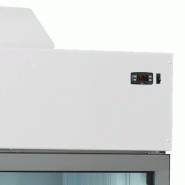 Congélateur armoire de supermarché MTF250 TEFCOLD_2