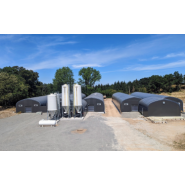 Tunnel d'élevage en pieds droits de 8.70m de large sur caillebotis_2