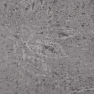 Vidaxl planches de plancher pvc non auto-adhésif 4,46 m² marron ciment 146583_2