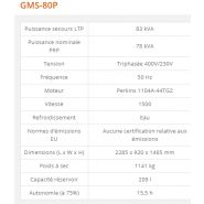 GMS-80P - Groupe électrogène industriel Generac 83 kVA - Série GMS Standard - Version ouverte ou insonorisée_2
