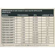 Latitude TG9S - Générateur d'air chaud à gaz York - Rendement 95% - 40 à 130 MBH_2