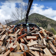 Grappin à 5 dents pour bois coupé