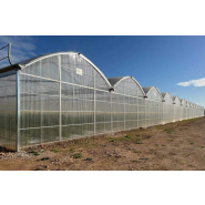 Serre à travées multiples  utilisée dans toutes les zones climatiques - Multiart_2