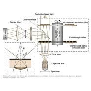 CSU-W1 SoRa : système confocal à balayage de disque tournant Yokogawa - résolution XY 120 nm - super-résolution et configurations flexibles_2