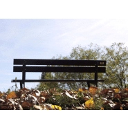 Banc public Bretaña UM374 - Fonte ductile et bois tropical traité_2