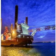 Grue portuaire idéale pour le montage de petites installations offshore