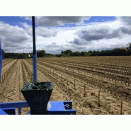 Oliva i - planteuse - vinomatos_2