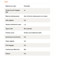 Vélo cargo électrique stable et polyvalent BIG-E BABBOE_2