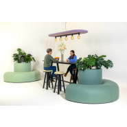 Cloison acoustique végétalisée pour bureaux contemporains_2