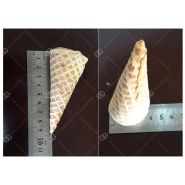 Appareil à cornet de crème glacée en acier inoxydable - Henan Gelgoog - Capacité 1800 pcs/h - Modèle GGTT30 - Certification ISO:9001_2