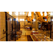 Palettiseur à robot avec pince - FL-PAL F.B.L. Food machinery_2