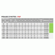 Poulie à corde à patte pap_2