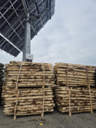 Piquets ronds en châtaignier pour pâturage - LIC003 - Robustes, durables et écologiques_2