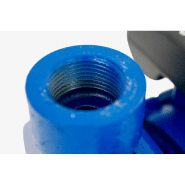 Pompe centrifuge horizontale 230V - 0.75KW/1CV - turbine en Noryl - IP44_2