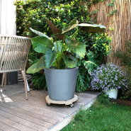 Roule-plante en bois rond brut - Basics - 37,5 cm - Socle roule-plantes_2