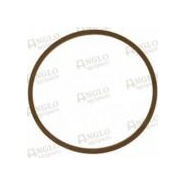 Courroie de ventilateur - dynamo / alternateur - référence PTA-A48973 pour tracteurs Case International Harvester_2