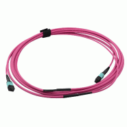 VALUE Câble MPO Trunk 50/125µm OM4, MPO / MPO, violet, 3 m_2