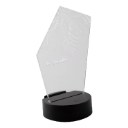 Trophée en acrylique - lampe LED multicolore - gravure laser incluse - minimum 25 pièces_2