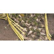 Arracheuse nettoyeuse groupeuse type e - 2 ou 3 turbines - franquet - largeur 3 m - vitesse prise de force 540 ou 1000 tr/min_2