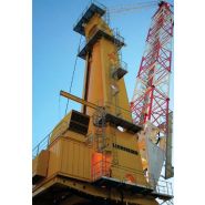 MTC 1900 - grue portuaire offshore Liebherr - capacité de levage max 75t - portée max 60m_2