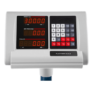 Balance à plateforme professionnelle 300 kg_2