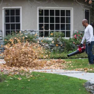 Souffleur      Toro    Ultra blower 51825T - Souffleur de feuilles_2