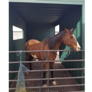 Box à chevaux container - espace supplémentaire pour chevaux de grande taille_2