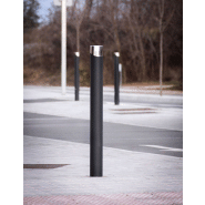 Borne Dalia - h314 - acier avec traitement Ferrus et enjoliveur inox_2