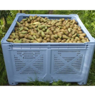 Palox maraîchage / fruits et légumes - 1200x1000 et 1200x1200 mm - Caisse-palette plastique solide et légère_2