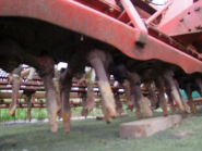 Combiné de semis agricole Lely - nodet 3m - Occasion - Herse rotative et semoir avec socs_2