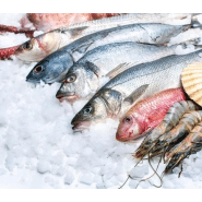 Machine à glaçons en grains - paillettes 85 kg - gaz écologique r290_2