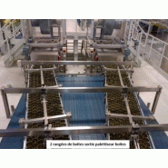 Convoyeur agroalimentaire - constructeur mectra_2