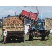 Récolteuse de carottes semi-industrielle S3P - Simon - portée avec mise en trémie et hauteur de déchargement importante_2