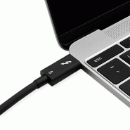 ROLINE Câble Thunderbolt™ 5 USB type C, M/M, 8K UHD-2, 80Gbit/s, 240W, passif, noir, 1 m_2