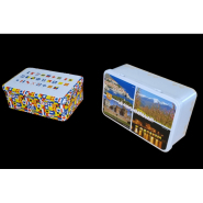 Boîte décorée en acier étamé JUNIOR 195 x 130 x 72 mm - 