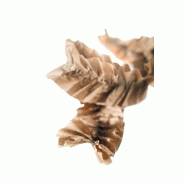 Système de calage papier Paperplus Papillon - 620032B_2