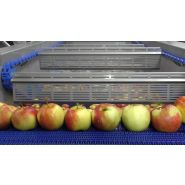 Fw - laveuses industrielles alimentaires - sormac - laveuse de fruit_2