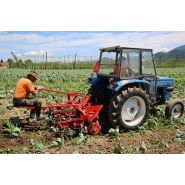 Bineuse agricole avec dispositif de distributeur d'engrais - Tehnos - largeur entre les rangs 60-75 cm_2