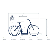 Tricycle électrique Roma - Moteur Bosch Active Line - Batterie Lithium-Ion 400Wh_3